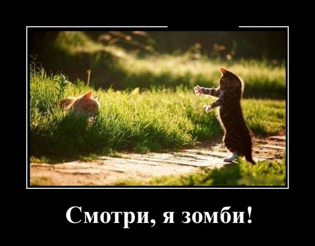 Демотиваторы (30 фото)