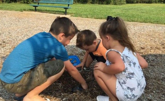 Дети нашли клад (8 фото + видео)