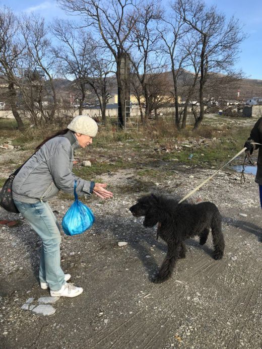 В Новороссийске пес два месяца ждал хозяйку из больницы (3 фото)