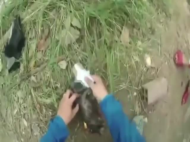 Вьетнамец спас щенка