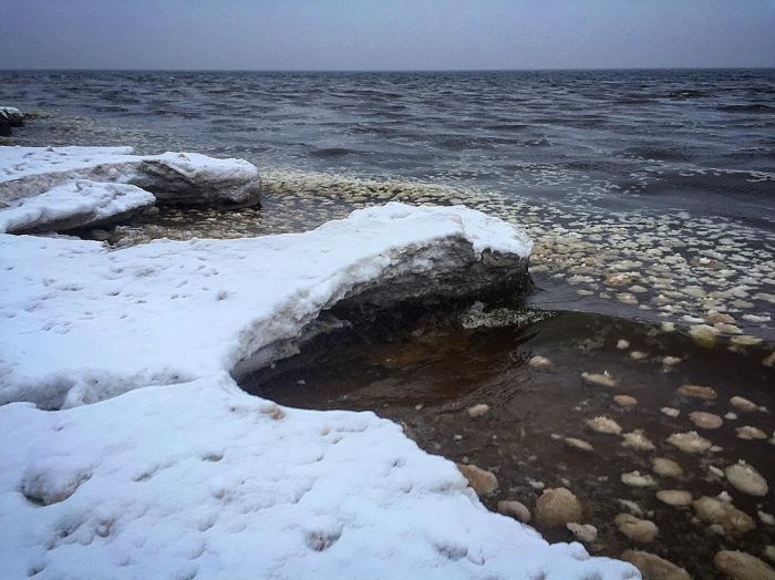 Финский залив покрылся ледяными шарами (5 фото)