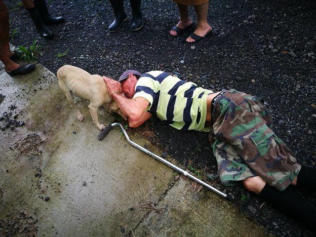 В Коста-Рике собака спасла жизнь своему хозяину (5 фото)