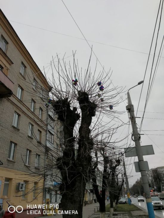 Бежицкий район Брянска украсили к Новому году (5 фото)