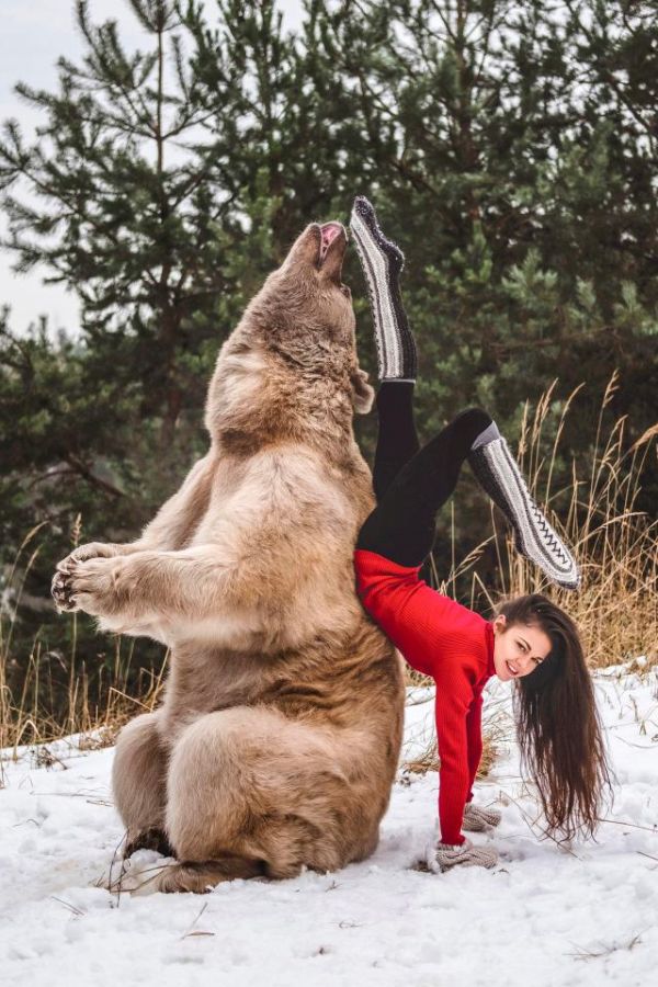 Фотосессия гимнастки Стефани Миллингер с медведем Стефаном (5 фото)