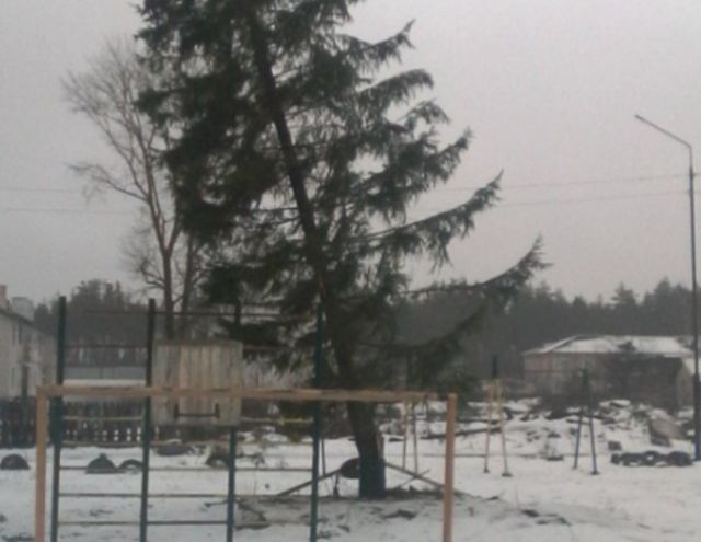 Новогодняя елка в поселке Лашма Рязанской области (2 фото)