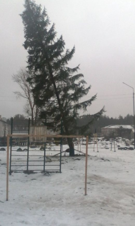 Новогодняя елка в поселке Лашма Рязанской области (2 фото)