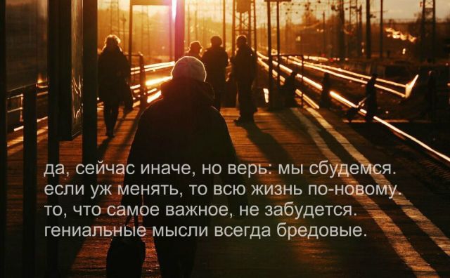Стихотворение Оксаны Мельниковой «Все важные фразы должны быть тихими» (7 фото)