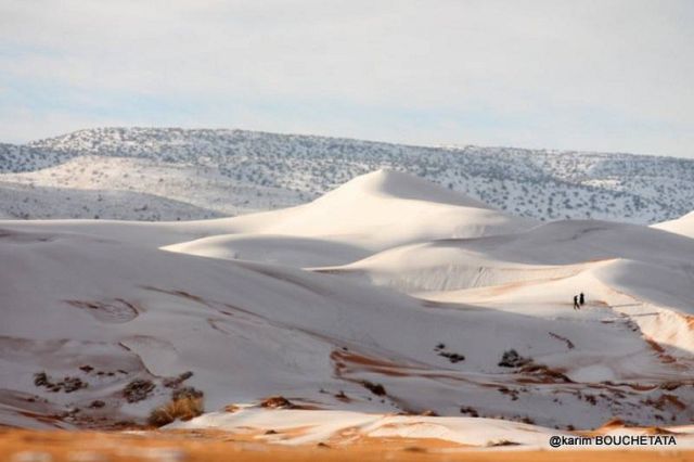 В пустыни Сахара второй год подряд выпал снег (9 фото)