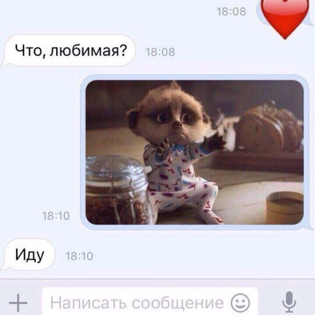 Подборка картинок. Вечерний выпуск (54 фото)
