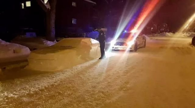 Канадец разыграл полицию с помощью снежной скульптуры (5 фото)