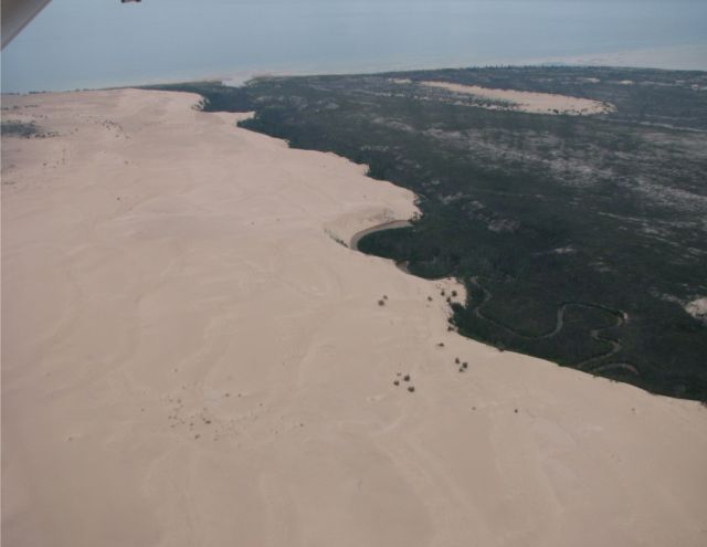 Песчаные дюны в канадской тайге (19 фото)