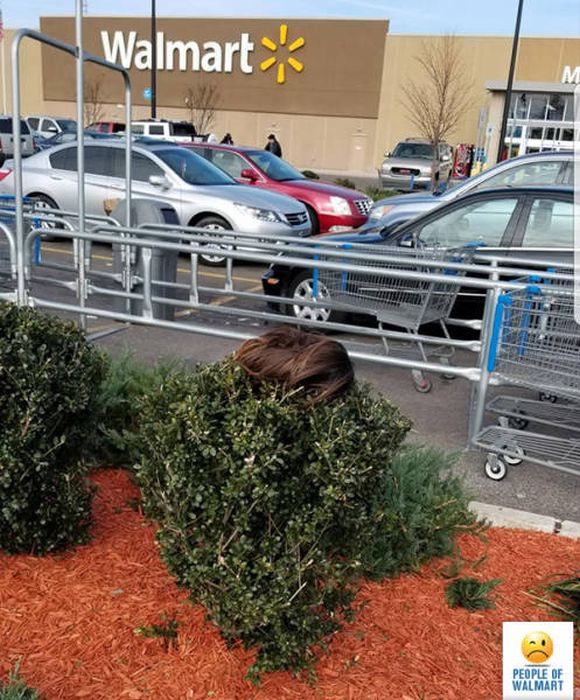 Странные посетители супермаркетов Walmart (38 фото)