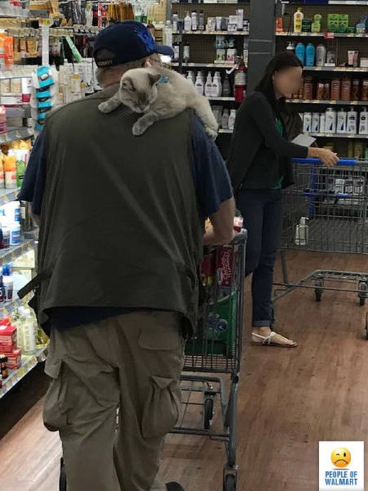 Странные посетители супермаркетов Walmart (38 фото)