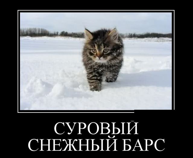 Демотиваторы (30 фото)