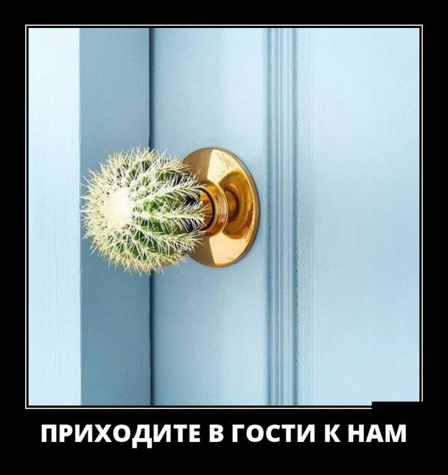 Демотиваторы (30 фото)