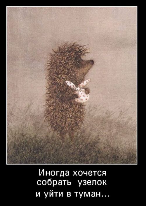 Демотиваторы (30 фото)