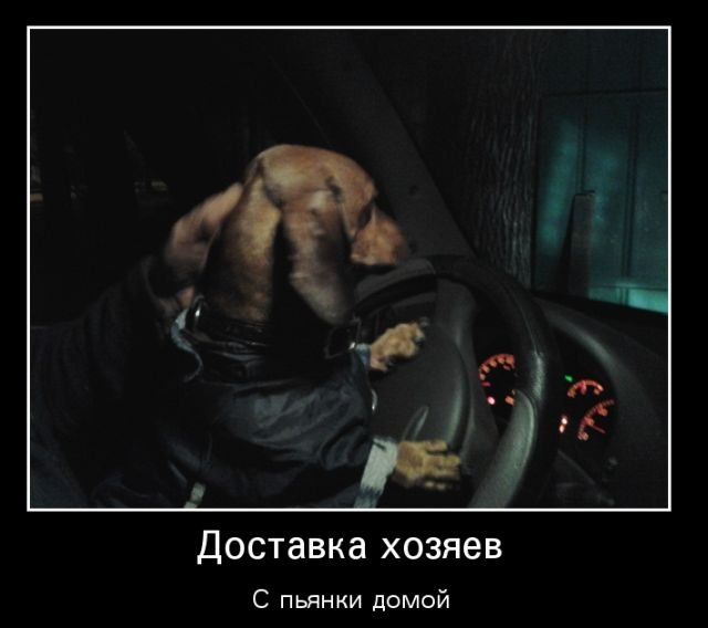 Демотиваторы (30 фото)