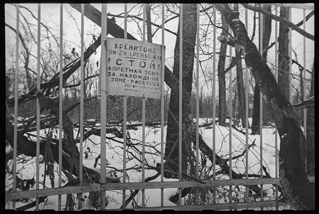 Неизвестные фото последних дней блокадного Ленинграда (19 фото)