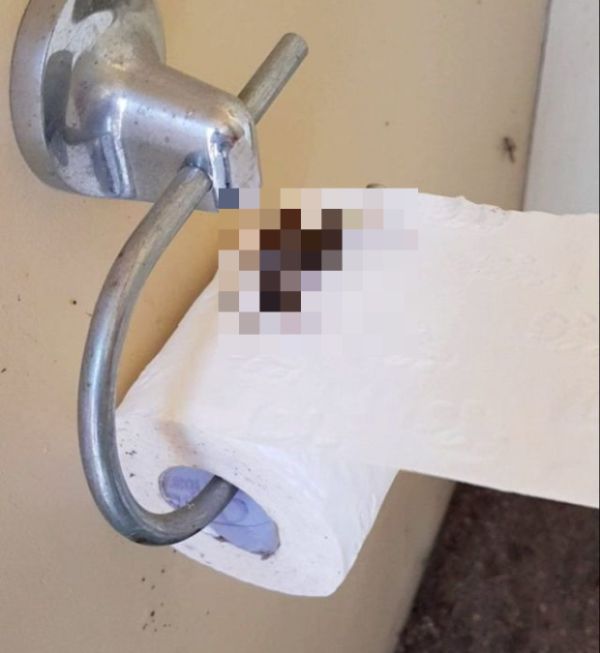 Австралийка сделала жуткую находку в своем туалете (3 фото + видео)