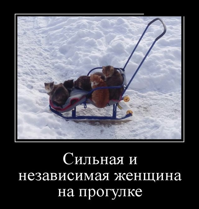 Демотиваторы (30 фото)