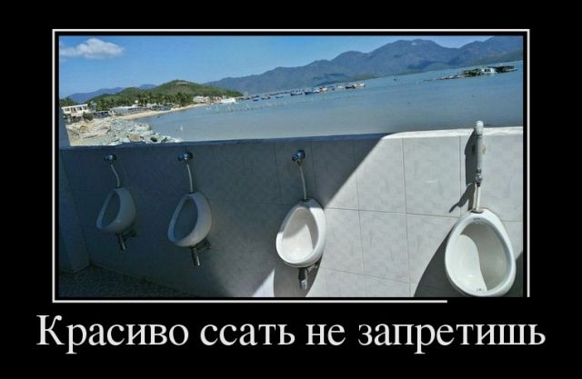 Демотиваторы (30 фото)