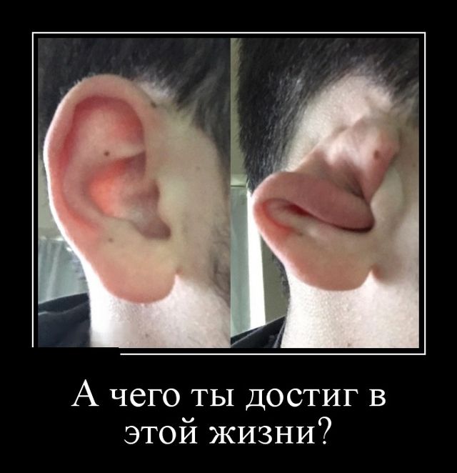 Демотиваторы (30 фото)