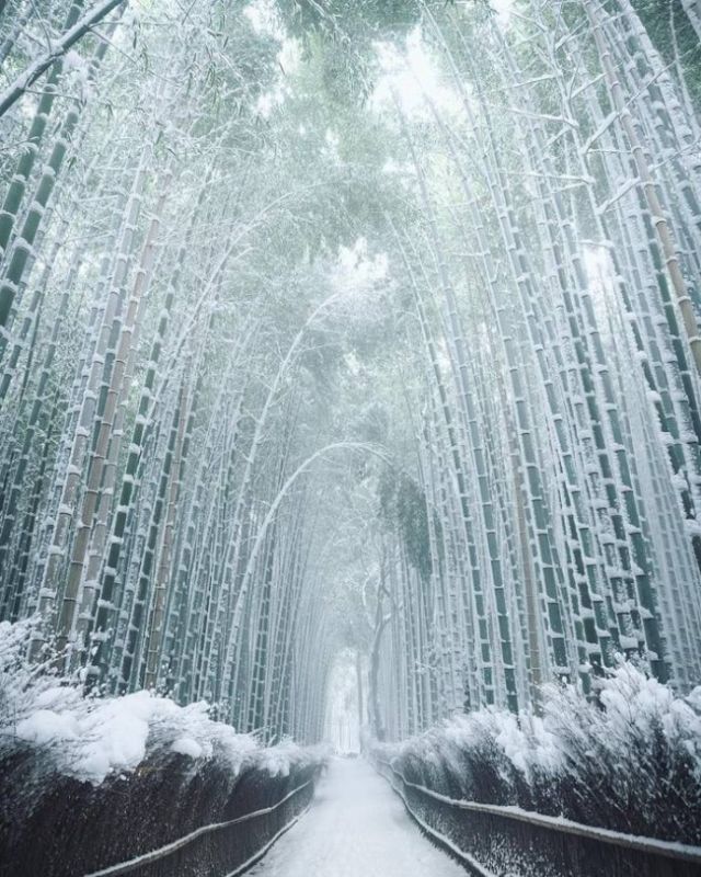 Снимки, которые меняют восприятие реальности (17 фото)