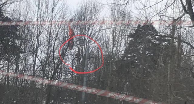 Московский бейсджампер застрял на дереве (3 фото)