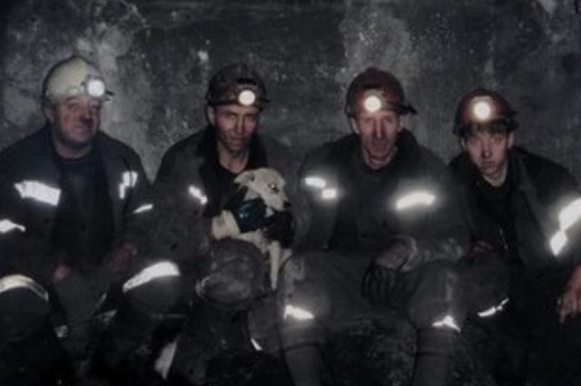 Памятник собаке-шахтеру (4 фото)