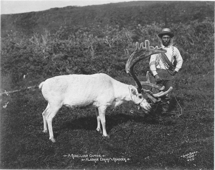Фотоотчет из 1900-х гг. - эскимосы Аляски (35 фото)