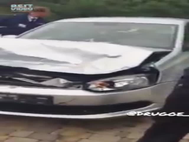 Машина разбита – виноваты сороки