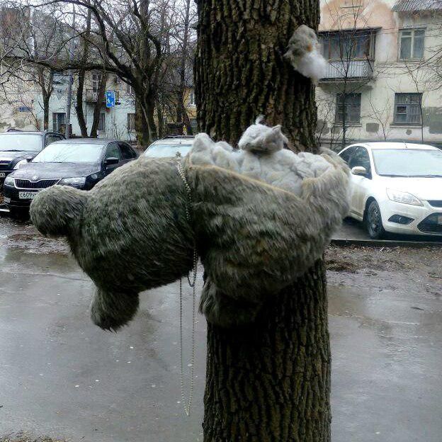 В Ростове на деревья украсили игрушками (5 фото)