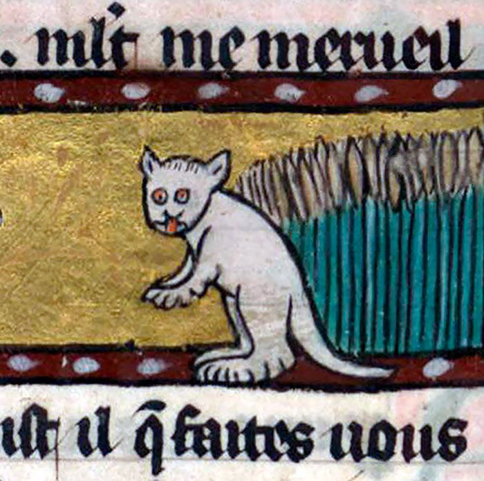 Коты на картинах художников средневековья (25 фото)