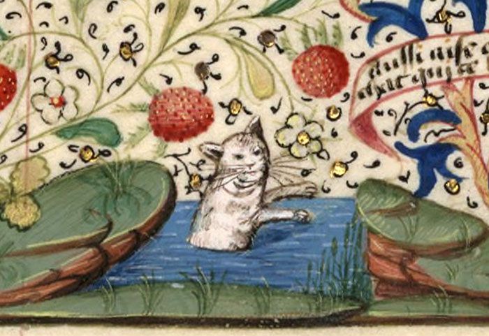 Коты на картинах художников средневековья картинах, время, Источник, нельзя, просто, улыбки, смотреть, существ, непонятных, какихто, походили, случаев, большинстве, непохожими, совсем, получались, количество, художников, бесчисленное, видели