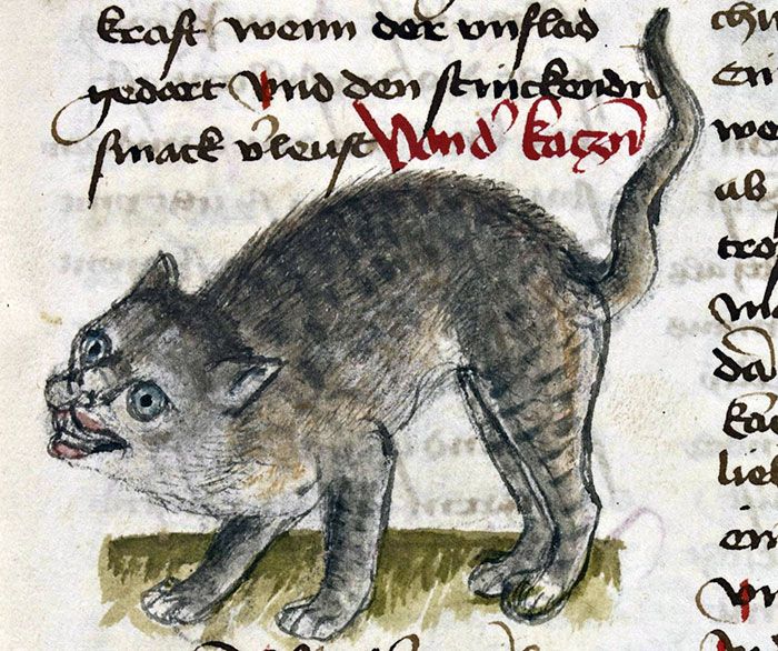 Коты на картинах художников средневековья картинах, время, Источник, нельзя, просто, улыбки, смотреть, существ, непонятных, какихто, походили, случаев, большинстве, непохожими, совсем, получались, количество, художников, бесчисленное, видели