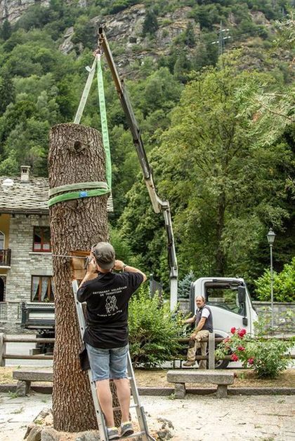 Скульптура из дерева (8 фото)