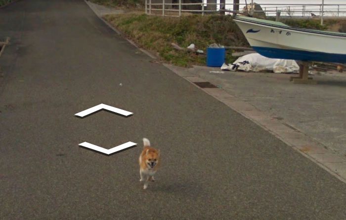 Пес погнался за машиной Google Street View и попал на все кадры (8 фото)