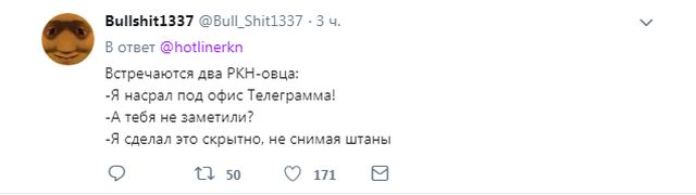 Фейковую горячую линию Роскомнадзора приняли за настоящую (6 скриншотов)