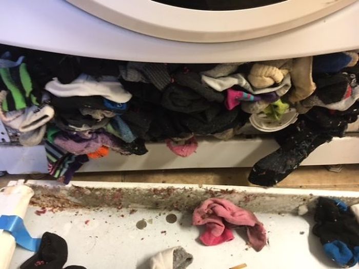 Найдена причина неполадки стиральной машины (5 фото)