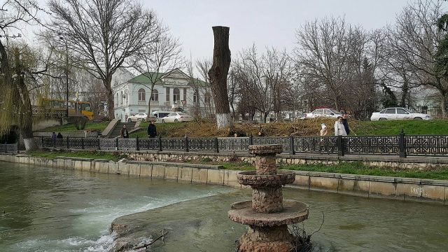 Деревья-обрубки из российских городов (15 фото)
