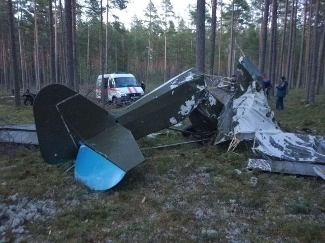 В Ленобласти разбился самодельный самолет (5 фото)