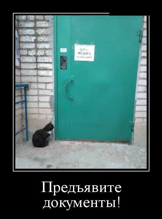 Демотиваторы (30 фото)