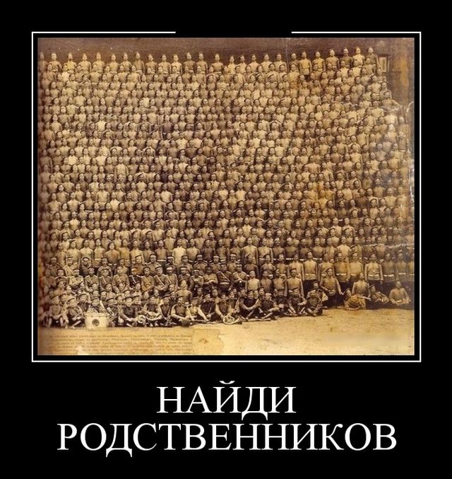 Демотиваторы (30 фото)