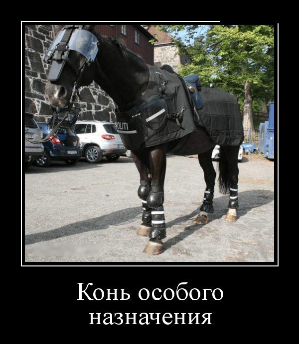 Демотиваторы (30 фото)