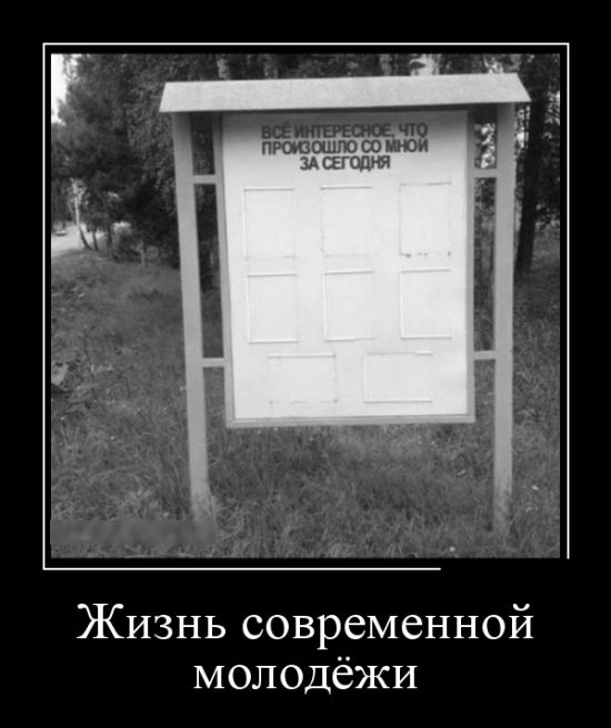 Демотиваторы (30 фото)
