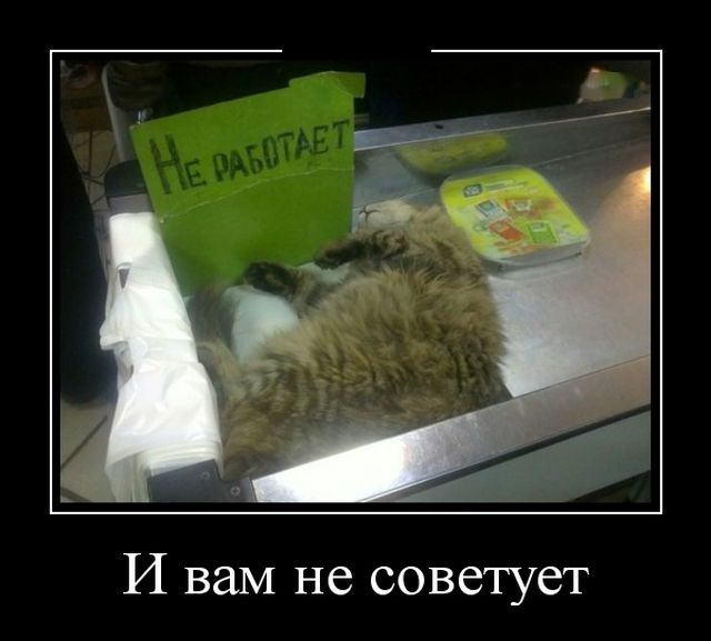Демотиваторы (30 фото)
