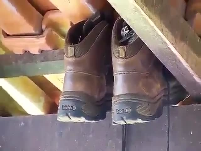 Находка в ботинках