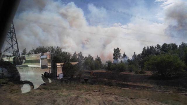 Пожар в «рыжем лесу» в зоне отчуждения ЧАЭС (7 фото)