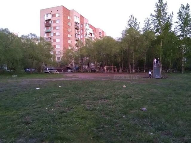 «Детская площадка смерти» в Омске (5 фото)