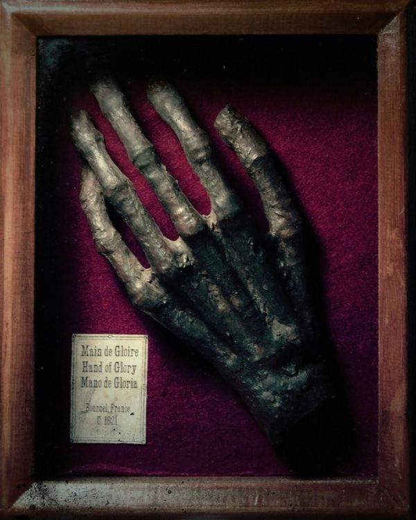 Рука славы - жуткий артефакт разбойников (4 фото)